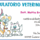 veterinario-banner
